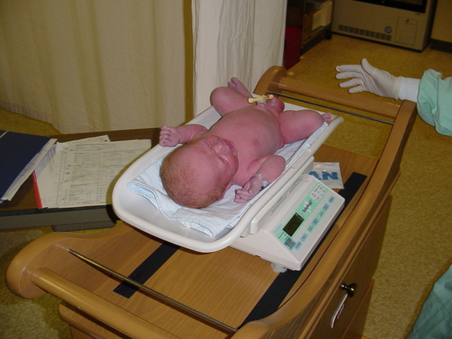 The Weigh-In